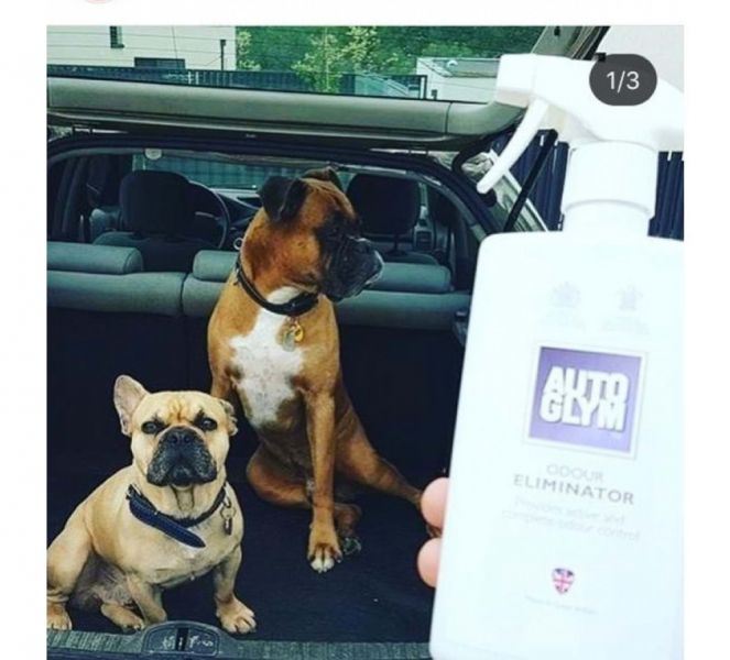 ODOUR ELIMINATOR 500 ml.e